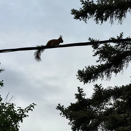 Rejtek Panoráma Nyaraló
